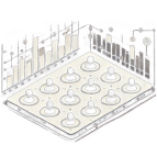 Main Hex